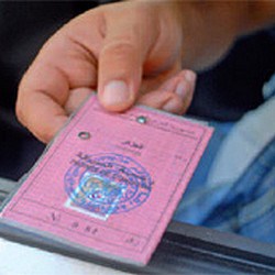 permis-de-conduire-algerien