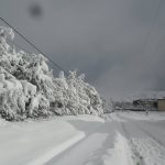 chute-de-neige